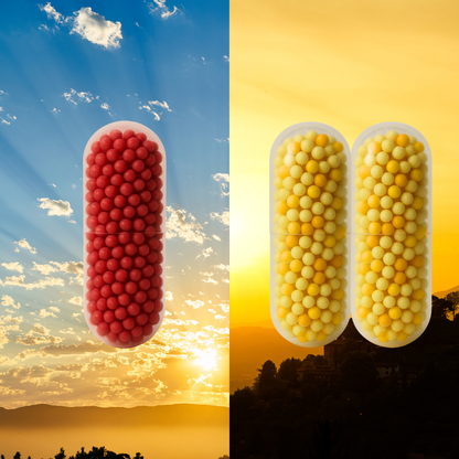 B・SYNC® morning boost and all day productivity