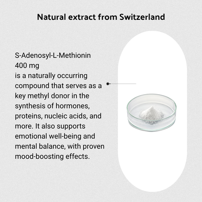 Mood Tablets: B・SYNC® MOOD